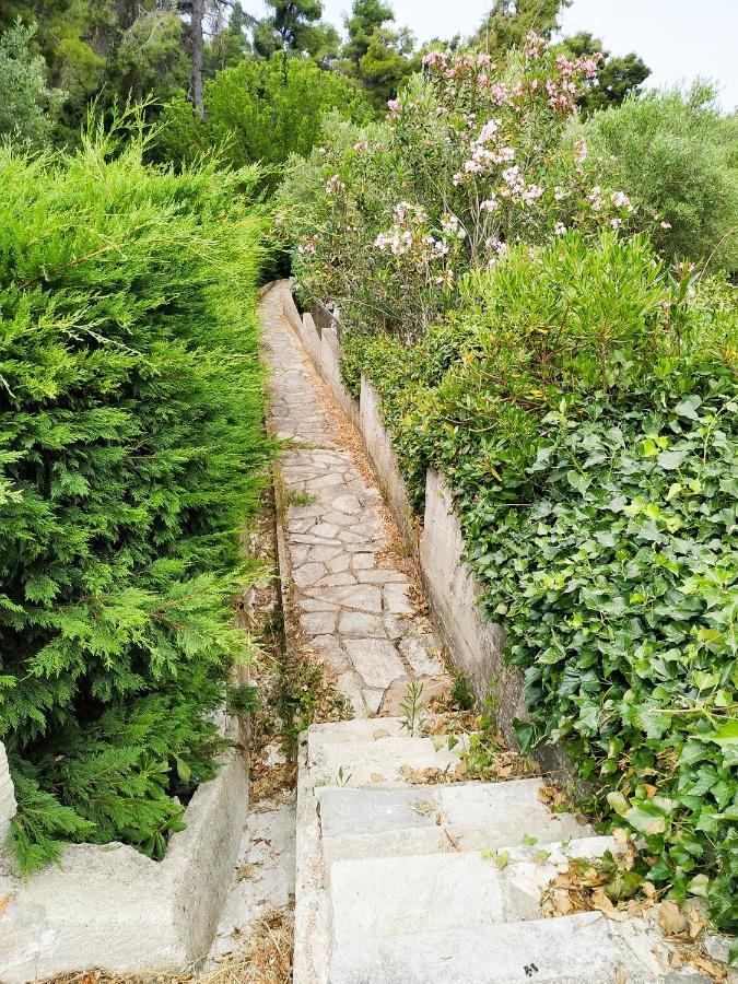 Villa Opali Kassandria Bagian luar foto